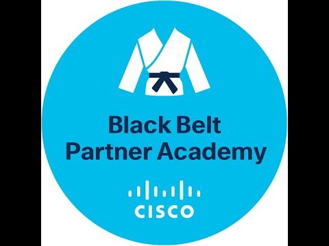 black_belt